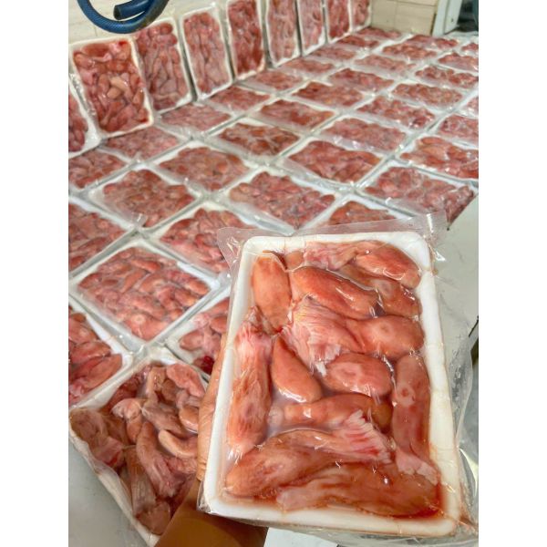 BAO TỬ CÁ MÚ (2 KHAY/KG)