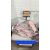CÁ MÚ THIÊN NHIÊN SIZE 51 - 99 KG/CON (XẺ PHẦN, KHOANH 3-4KG)
