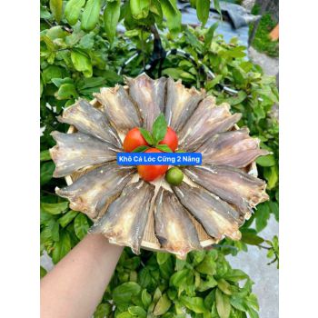 KHÔ CÁ LÓC CỮNG 2 NẮNG (14 - 16 CON/KG)