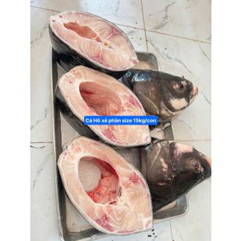 CÁ HÔ 15-16 KG/CON (XẺ PHẦN, KHOANH 2-3KG)